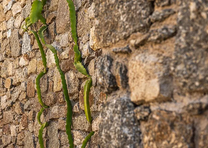 Dreamlike Mykonos オルノス