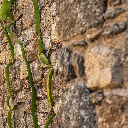 Dreamlike Mykonos Ornos (Mykonos)