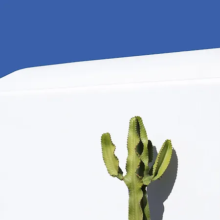 Dreamlike Mykonos Вилла