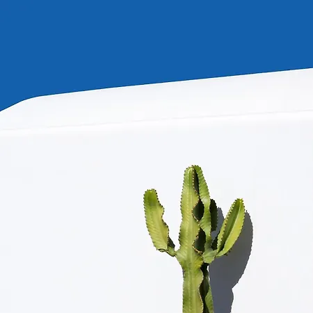 Dreamlike Mykonos Villa Ornos (Mykonos)