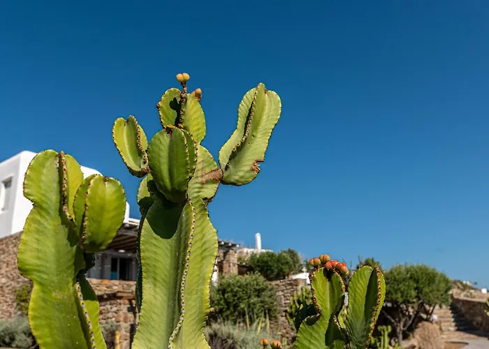 Villa Dreamlike Mykonos Ornos (Mykonos)